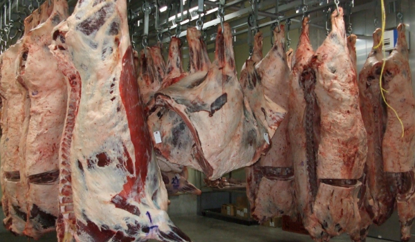 肉匠なか田「大黒千牛」熟成庫